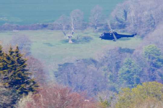 20 April 2021 - 14-21-33

-------------------
RAF Pumas XW204 & XW332 at Dartmouth